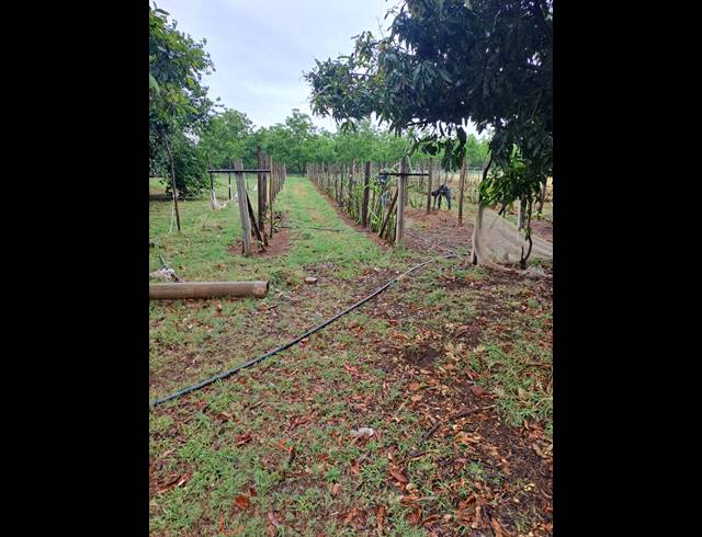 37.90HA FARM FOR SALE IN MODDERFONTEIN AH